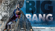 The Big Bang: now available online