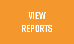 View Reports