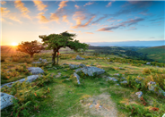 Dartmoor National Park seek permission to appeal High Court judgment 