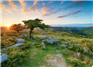 Dartmoor National Park seek permission to appeal High Court judgment 