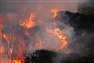 Burning up: moorland fires