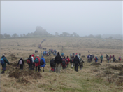 Vixen Tor event pulls in the crowds