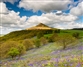 Hill hoards: the buried treasures unearthed in Britain’s wild places 