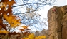 Ode to Autumn: stay seasonal with our gritstone offers