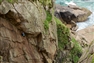 10 sea-cliff climbing 'Don'ts' from filmmaker Mike Cheque