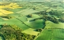Will Agriculture Bill deliver a Green Brexit?