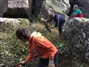 Climbers and National Trust work together to re-vitalise Brimham Rocks 