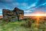 Something for everyone: Dartmoor's resurgence