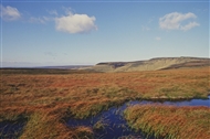 Blanket Bogs are worth protecting 