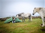 Legal challenge threatens wild camping on Dartmoor