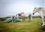 Legal challenge threatening wild camping on Dartmoor 