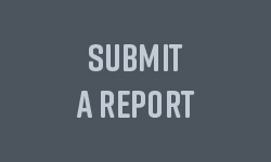 Submit Report